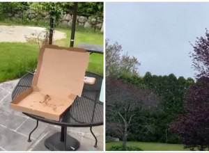 ČOVEK JE NARUČIO PICU I DOK SE OKRENUO RUČAK MU JE NESTAO: Sve se odigralo u sekundi dok je on zapanjeno gledao za lopovom potpuno bespomoćan! (FOTO+VIDEO)