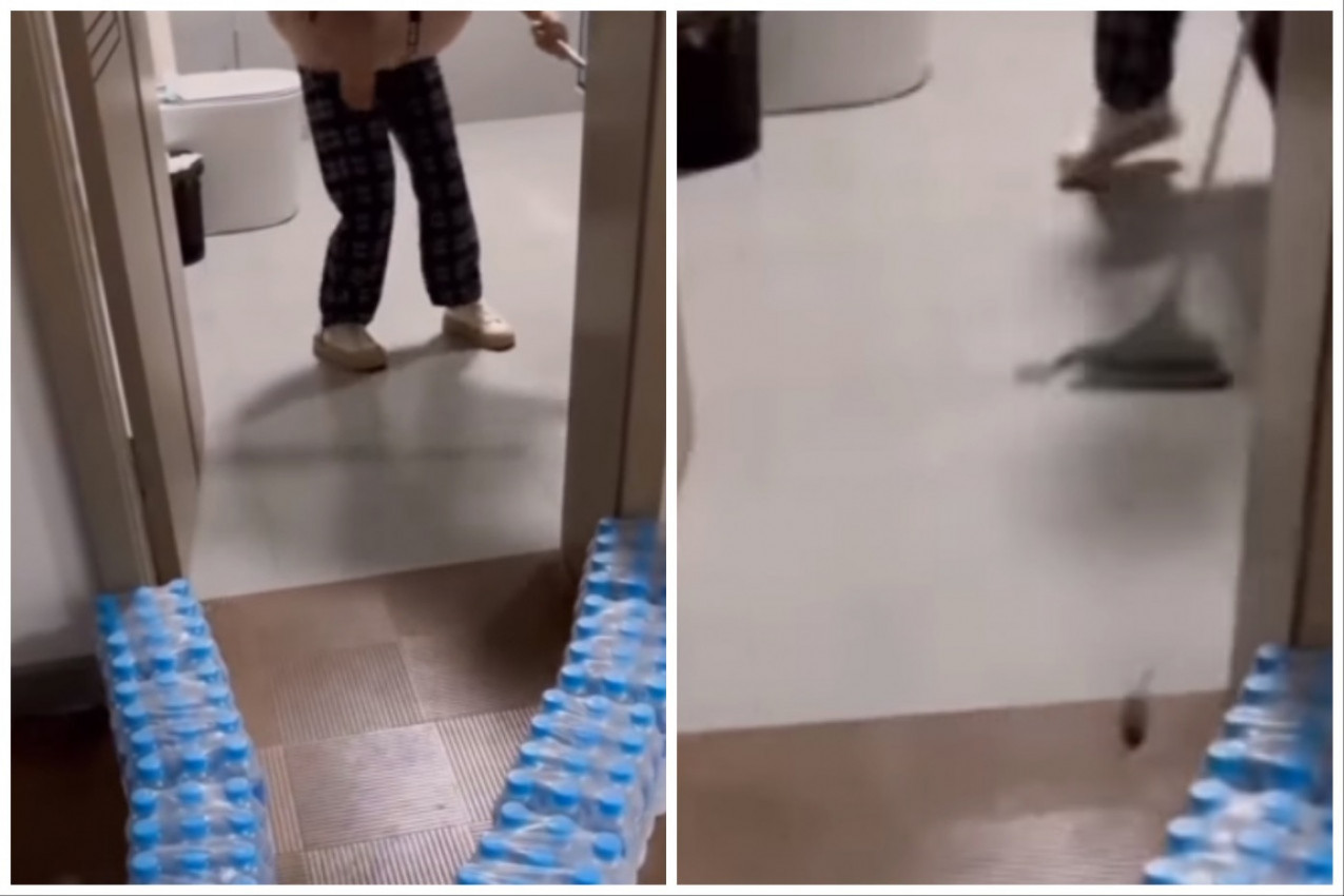 SMISLILA JE GENIJALAN NAČIN DA ISTERA MIŠA IZ KUĆE: Ova žena koristi 100 odsto svog mozga, komentari se samo nižu! (FOTO+VIDEO)