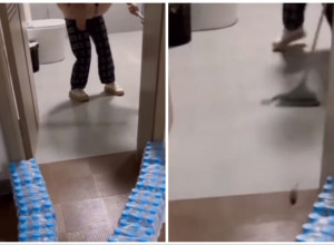 SMISLILA JE GENIJALAN NAČIN DA ISTERA MIŠA IZ KUĆE: Ova žena koristi 100 odsto svog mozga, komentari se samo nižu! (FOTO+VIDEO)