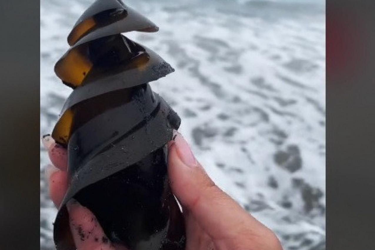 ŠETALA JE PLAŽOM I NAIŠLA NA ČUDNO JAJE: Snimak koji je podigao internet na noge, ljudi u neverici da ovo postoji! (VIDEO)