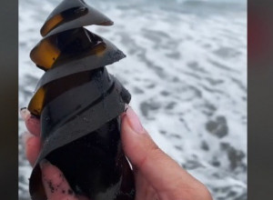 ŠETALA JE PLAŽOM I NAIŠLA NA ČUDNO JAJE: Snimak koji je podigao internet na noge, ljudi u neverici da ovo postoji! (VIDEO)