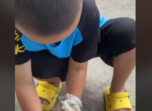 ZGRABILA GA ZA RUKU I NIJE GA PUŠTALA: Prestravljeno dete je u suzama pokušavalo da se otrgne od hobotnice (VIDEO)