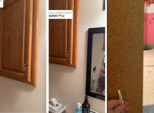 IZA ORMARIĆA U KUPATILU PRONAŠLA JE TAJNU SOBU: Ono što se u njoj krilo uznemirilo je čak i njene pse, jedna poruka na zidu krije misteriju (VIDEO)