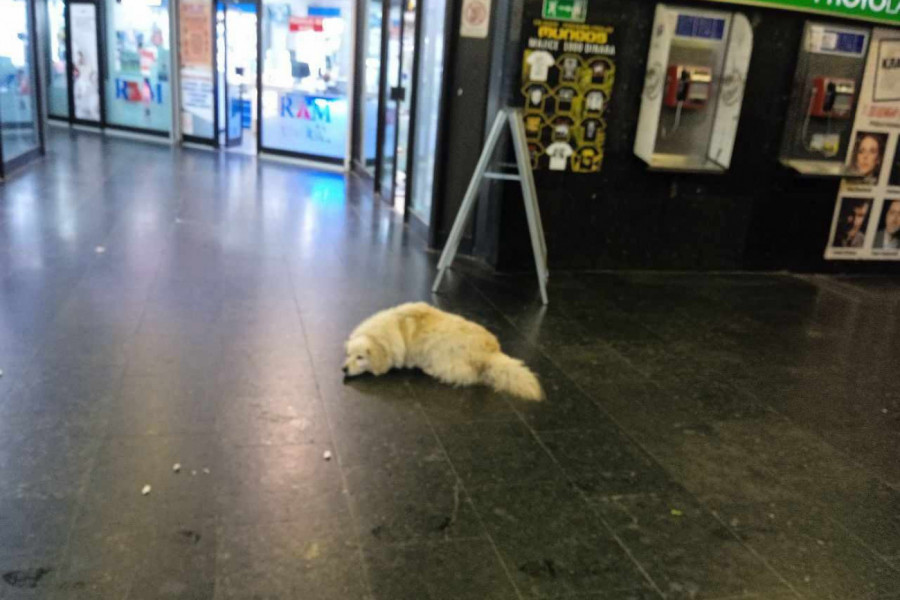 Ovde sam na sigurnom...