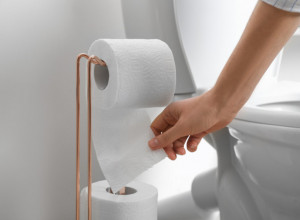 LEKARI TVRDE DA SKORO SVI POGREŠNO KORISTIMO TOALET PAPIR: Sitni propusti mogu nas koštati zdravlja!