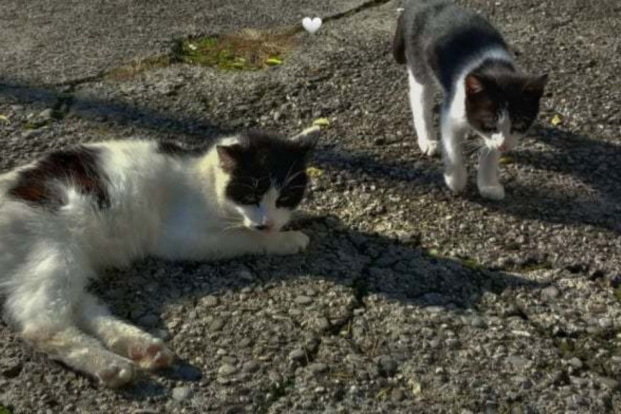 Hvatamo još malo jesenjih sunčevih zraka...