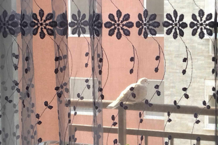 Vidim te i iza zavese...