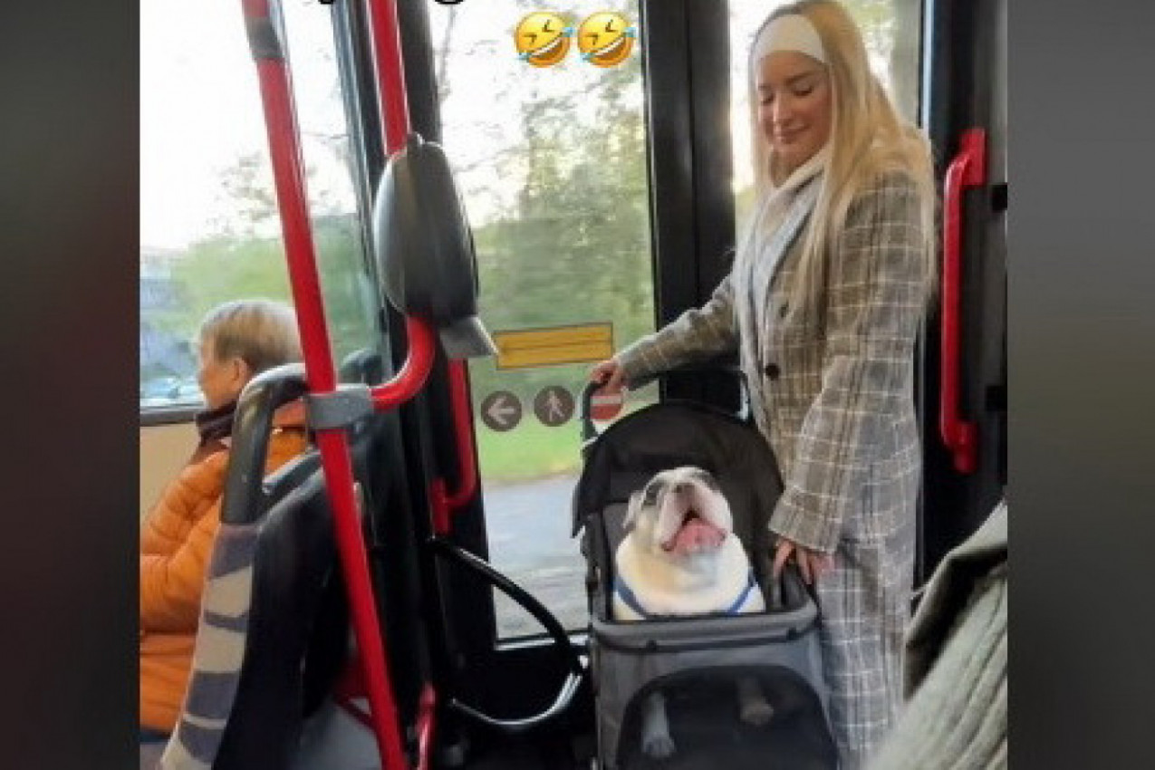 UŠLA JE SA PSOM U BUS I SVI SU ZANEMELI: Ono što je životinja potom uradila šokiralo je putnike! (VIDEO)