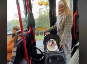 UŠLA JE SA PSOM U BUS I SVI SU ZANEMELI: Ono što je životinja potom uradila šokiralo je putnike! (VIDEO)