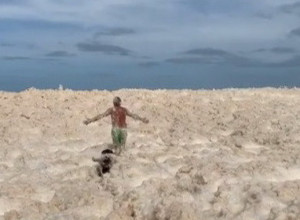 DOŠAO JE SA LJUBIMCEM NA POZNATU PLAŽU: Od prljavštine u koju je zaronio mnogima je pripala muka! (VIDEO)