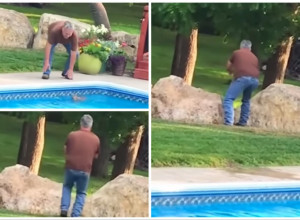 PRIMETIO JE DA SE NEKA DIVLJA ŽIVOTINJA DAVI U NJEGOVOM BAZENU: Ono što je čovek sa njom uradio rasplakalo je javnost, usledili su oštri komentari(FOTO+VIDEO)