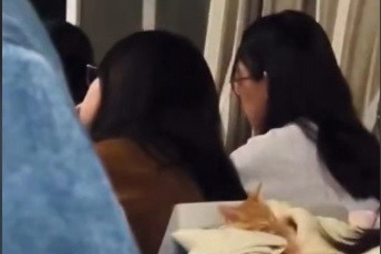 SNIMAK KOJI JE PREGLEDAN 11 MILIONA PUTA: Scena iz amfiteatra koja topi srca, mačka opčinila sve na mrežama! (VIDEO)