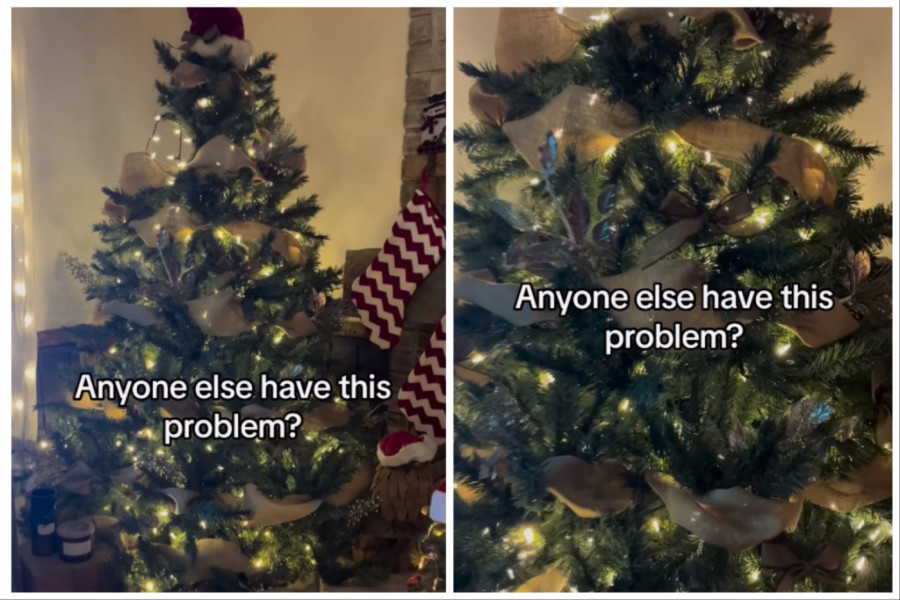 OKITILI SU JELKU I UŽIVALI U PRIZORU KADA SU UKLJUČILI SVETILJKE: Primetili su da ih nešto posmatra iza lampiona, kamera je sve snimila (FOTO+VIDEO)