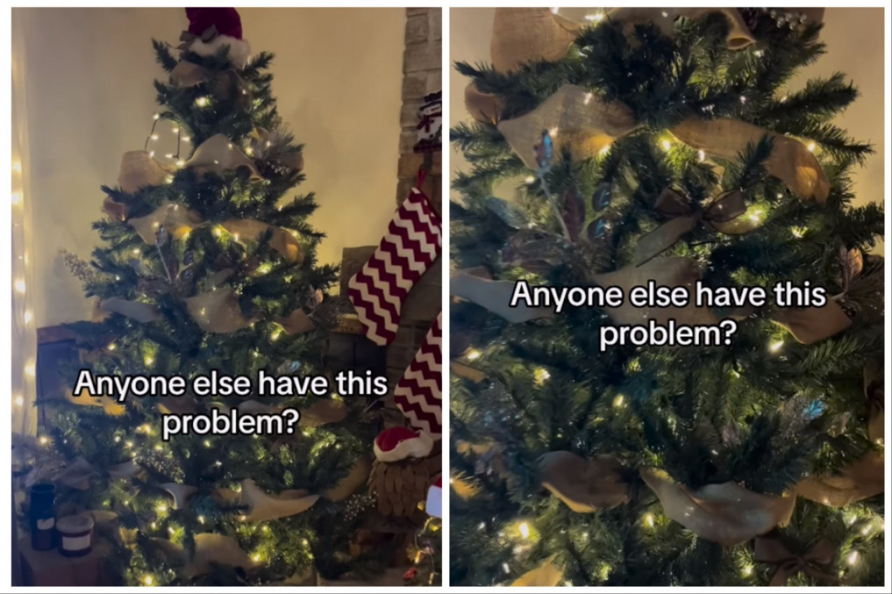 OKITILI SU JELKU I UŽIVALI U PRIZORU KADA SU UKLJUČILI SVETILJKE: Primetili su da ih nešto posmatra iza lampiona, kamera je sve snimila (FOTO+VIDEO)