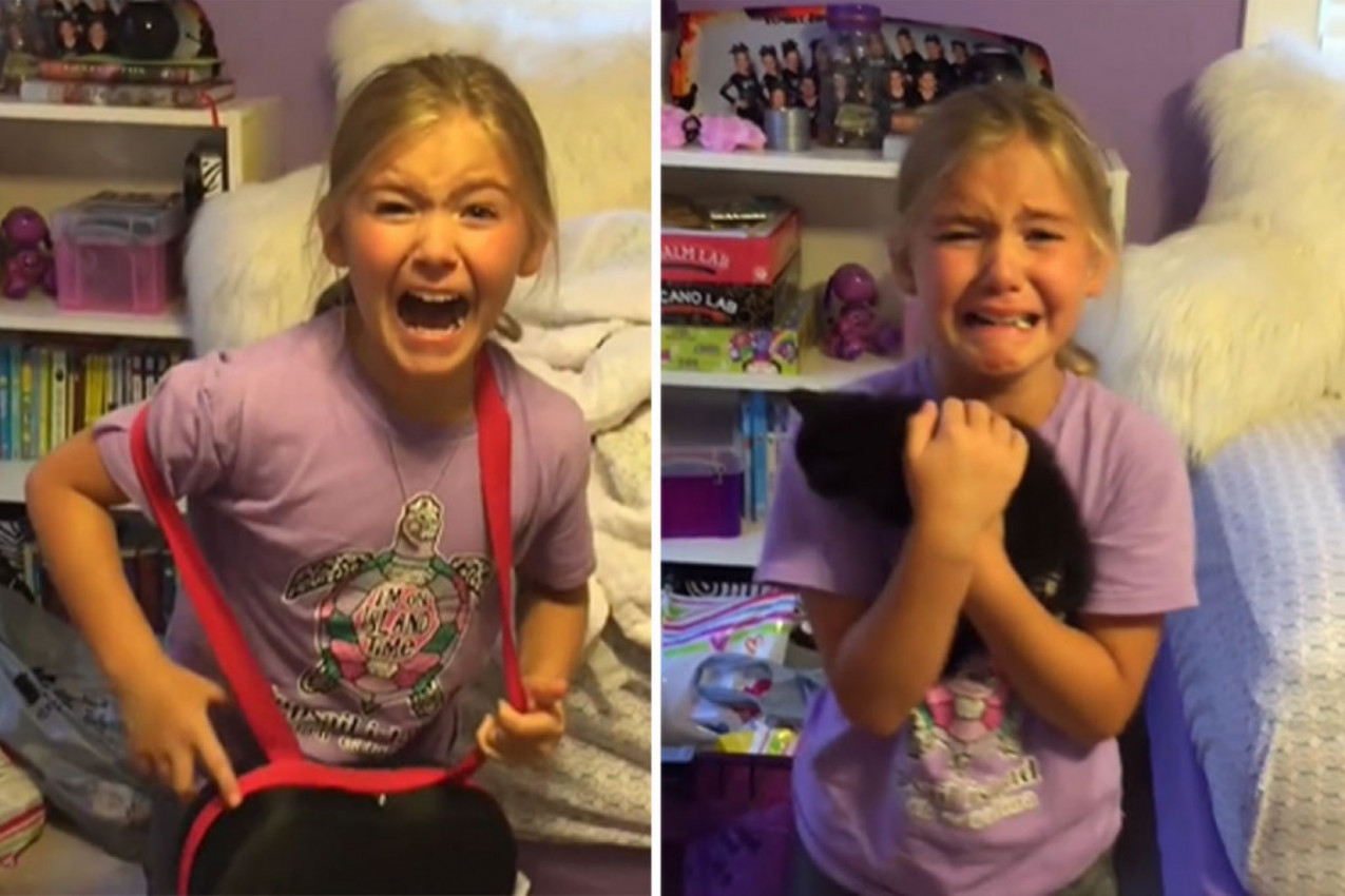 DEVOJČICA JE POGLEDALA U KUTIJU I POČELA DA PLAČE: Uzela je mače u naručje i kroz jecaje ponavljala iste reči! (VIDEO)