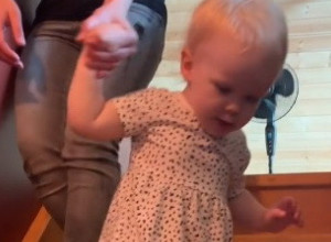 OVA DEVOJČICA IMA TEK GODINU DANA, A VEĆ JE GENIJE: Ponosna tetka je pokazala šta sve ume njena malena sestričina! (VIDEO)