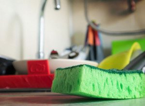 SVE VIŠE ŽENA STAVLJA SUNĐER ZA SUDOVE U ZAMRZIVAČ: Razlog će vas potpuno iznenaditi kao i njegova namena!