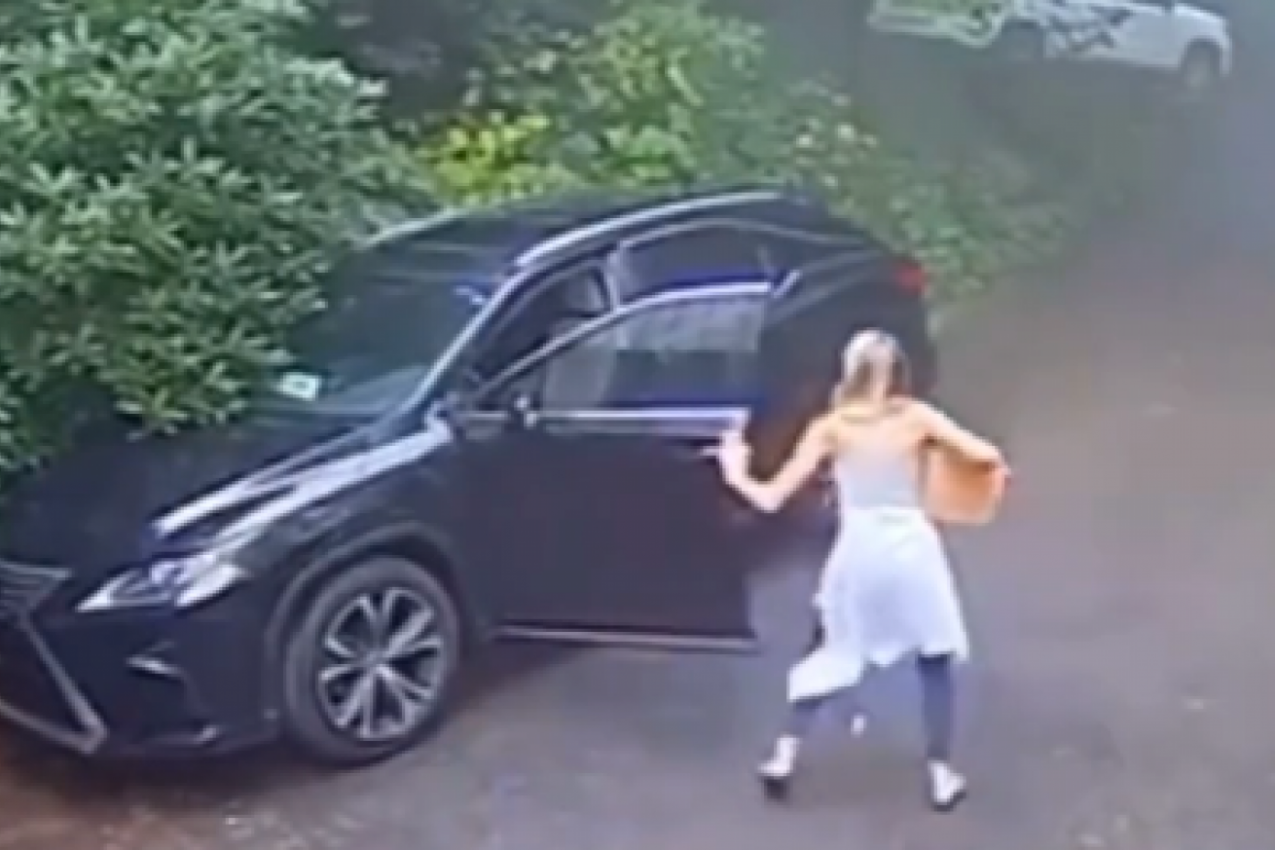 NEOBIČAN SUSRET NA PUTU: Žena je pretrnula od straha kad je ugledala stvorenje koje se nalazilo u njenim kolima! (FOTO+VIDEO)