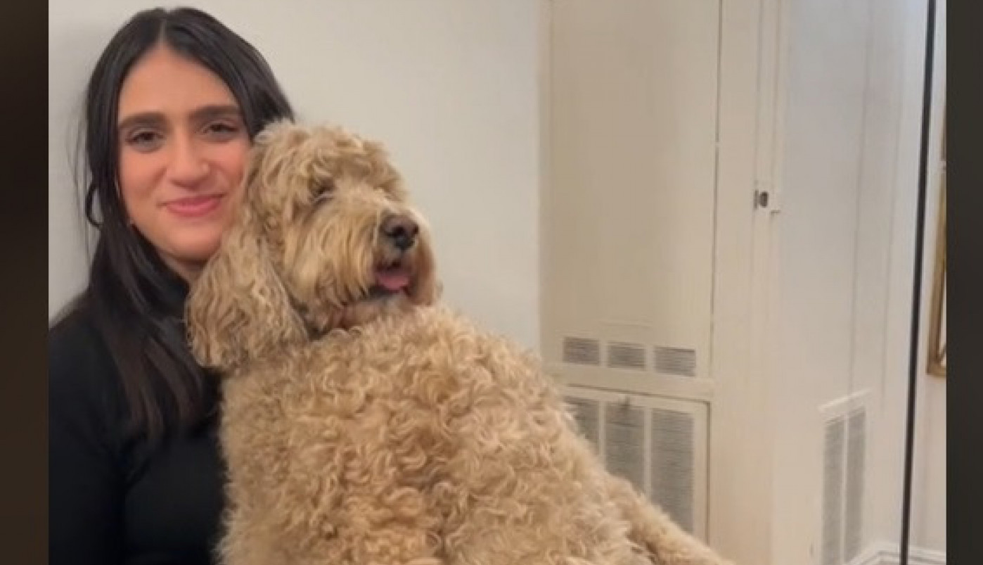 LJUDI U NEVERICI DA LI JE OVO ZAISTA PAS: Ovakvog ljubimca nikad niste videli, o njegovoj razmaženosti bruji internet! (VIDEO)