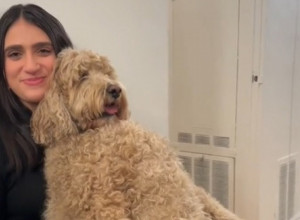 LJUDI U NEVERICI DA LI JE OVO ZAISTA PAS: Ovakvog ljubimca nikad niste videli, o njegovoj razmaženosti bruji internet! (VIDEO)