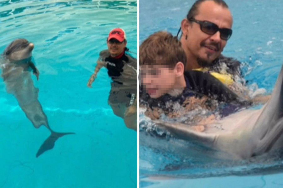 ODRASTANJE U ZALIVU SA DELFINIMA ODREDILO MU JE SUDBINU: Nikola otkriva kako kroz delfinoterapiju pomaže deci sa smetnjama u razvoju