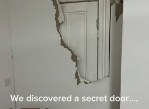 USELILI SU SE U NOVI DOM I OTKRILI SKRIVENA VRATA: Radoznalost im nije dala mira, a kada su srušili zid ugledali su scenu zbog koje su pretrnuli (VIDEO)