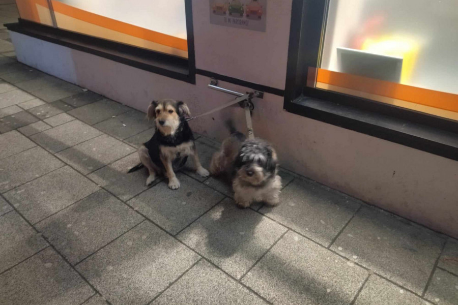 Nama nije hladno kada smo zajedno...