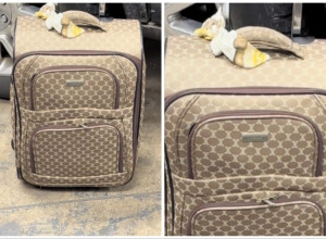 KUPIO JE DAVNO IZGUBLJENI KOFER ZA 90 EVRA: Kada ga je otvorio bio je zapanjen šta je pronašao unutra! (FOTO+VIDEO)