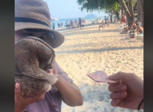 SNIMAK OVE NEOBIČNE ŽIVOTINJE IZAZVAO JE SALVE REAKCIJA: Ovako nešto nikada niste videli (VIDEO)