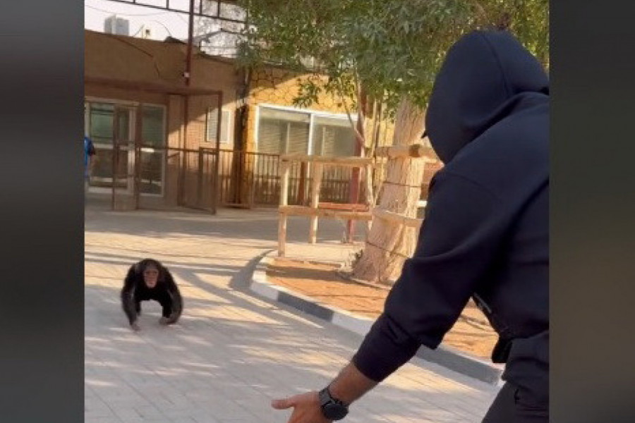 PREPOZNAO GA JE I POTRČAO MU U ZAGRLJAJ: Zbog emotivne scene susreta majmuna i bivšeg vlasnika ljudi ne prestaju da plaču (VIDEO)