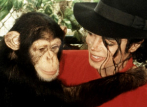 TUŽNA SUDBINA ŠIMPANZE MAJKLA DŽEKSONA: Obilazio je svet sa kraljem popa, sada u azilu skupljaju novac za njega