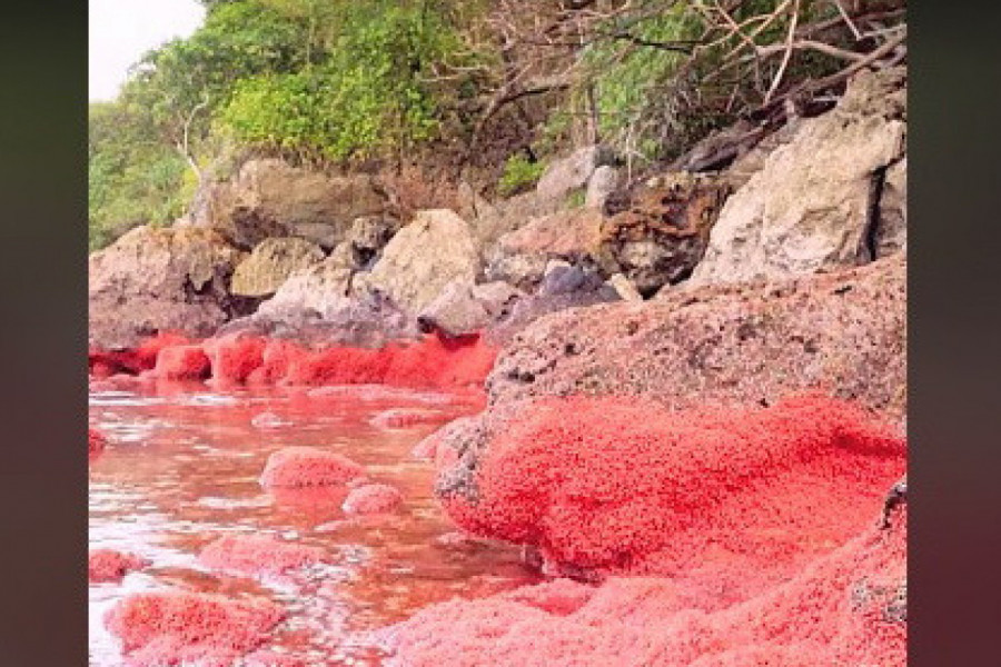 SVE JE POSTALO CRVENO I VODA I KAMEN: Ljudi na mrežama se zaprepastili kad su videli kadrove ovog ostrva u Australiji! (VIDEO)