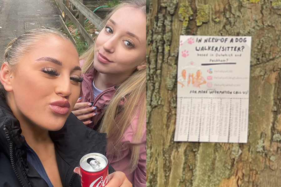 OVE DEVOJKE TVRDE DA IMAJU POSAO IZ SNOVA: Samo se šetaju, a zarađuju više od 1000 evra za 5 dana! (VIDEO)