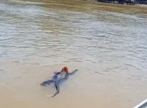 VOZILI SU SE U ČAMCU KAD SU UGLEDALI ČUDNO STVORENJE U RECI: Kad su prišli zanemeli su od šoka i uradili jedino što su mogli! (VIDEO)