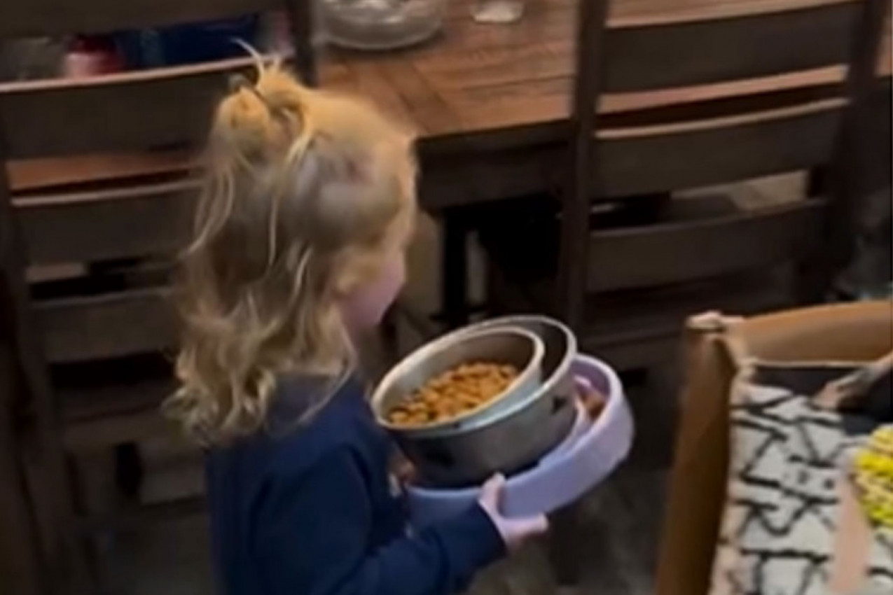 DEVOJČICA JE IZNELA PSIMA POSUDE SA HRANOM: Zbog onoga što su životinje uradile ljudi ne mogu da se saberu (VIDEO)