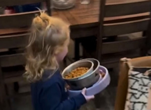 DEVOJČICA JE IZNELA PSIMA POSUDE SA HRANOM: Zbog onoga što su životinje uradile ljudi ne mogu da se saberu (VIDEO)