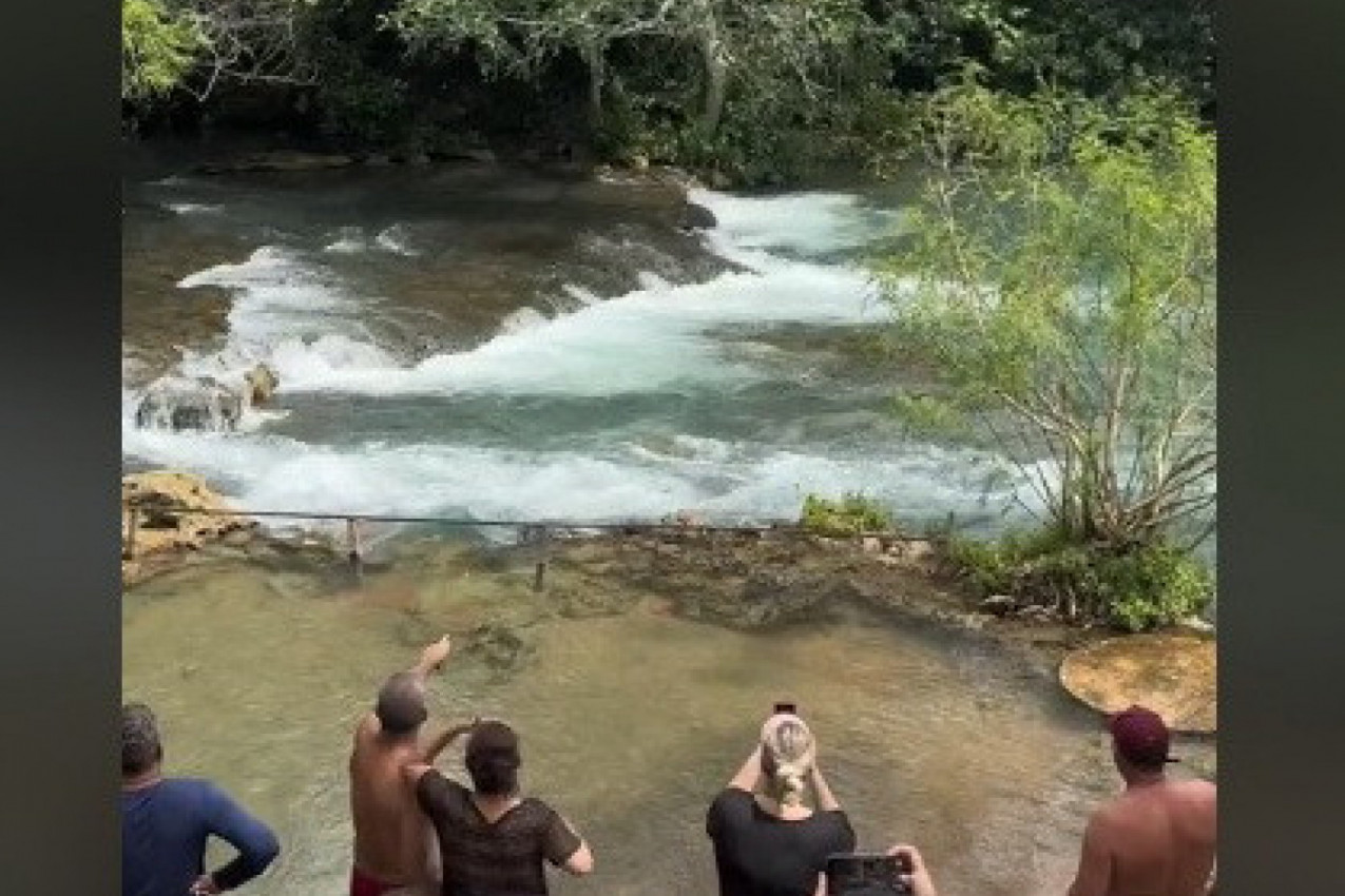 LJUDI SU UŽIVALI U LEPOTI PRIRODE, A ONDA SE PROLOMIO VRISAK: U neverici su gledali stvorenje koje je virilo iz vode (VIDEO)