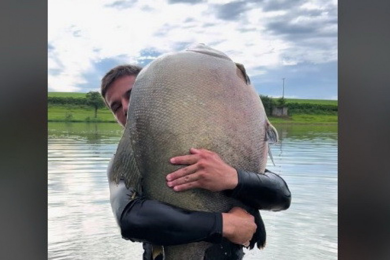 DRŽAO JE OGROMNO STVORENJE U RUKAMA: Ljudi nisu mogli da veruju šta se iza toga krije! (VIDEO)