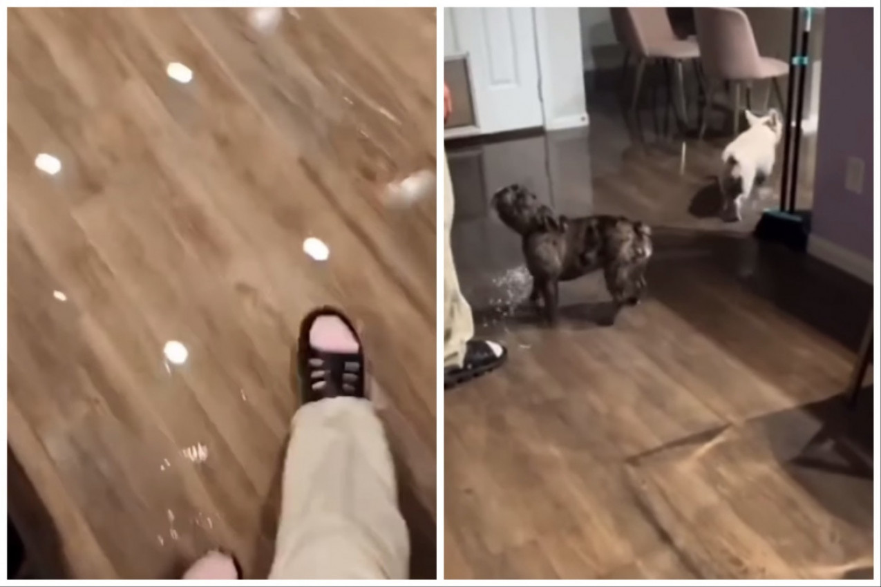 ŽENA JE UŠLA U PREPLAVLJEN STAN: Nisu znali kog majstora pre da zovu, a onda je kućna kamera otkrila šta se zaista dogodilo! (VIDEO)