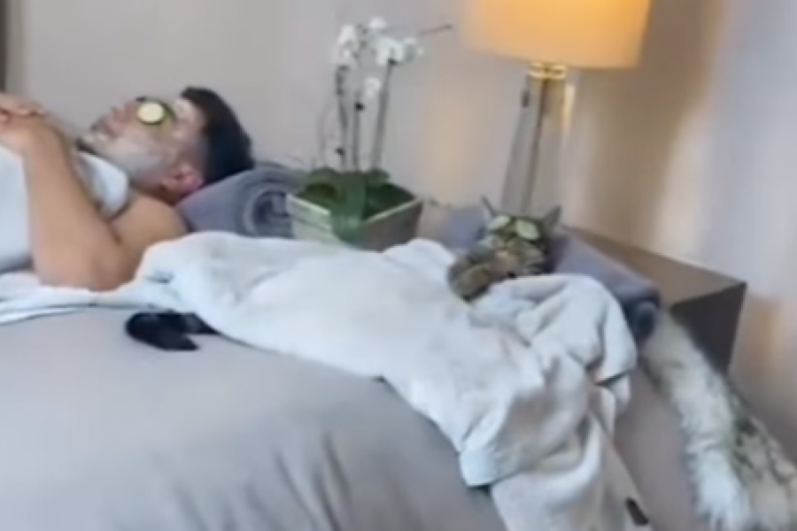 ŽENA SE ZAPANJILA KAD JE UŠLA U SOBU: Scena koju je ugledala ostavila je bez reči, a onda je usledilo nešto što nije očekivala! (FOTO+VIDEO)