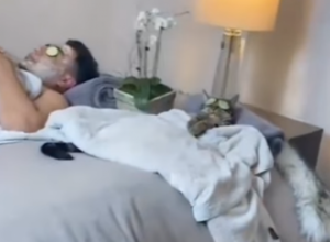 ŽENA SE ZAPANJILA KAD JE UŠLA U SOBU: Scena koju je ugledala ostavila je bez reči, a onda je usledilo nešto što nije očekivala! (FOTO+VIDEO)