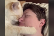 OVAKVOG LJUBIMCA ŽELE SVI: Dohvatila ga je šapama, a onda su počeli da padaju "eskimski poljupci" (VIDEO)