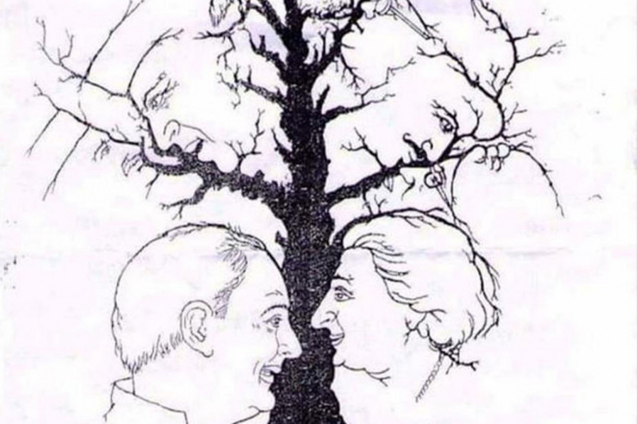 KOLIKO LICA VIDITE NA SLICI: Optička iluzija koja je zaludela svet, samo jedan odsto ljudi može da je odgonetne, da li ste među njima? (FOTO)