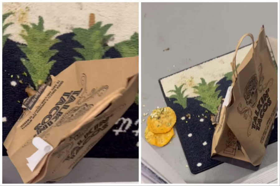 NARUČIO JE DOSTAVOM RUČAK NE SLUTEĆI ŠTA GA ČEKA: Kada je otvorio vrata zatekao je pocepanu kesu, a onda je spazio i lopova! (FOTO+VIDEO)