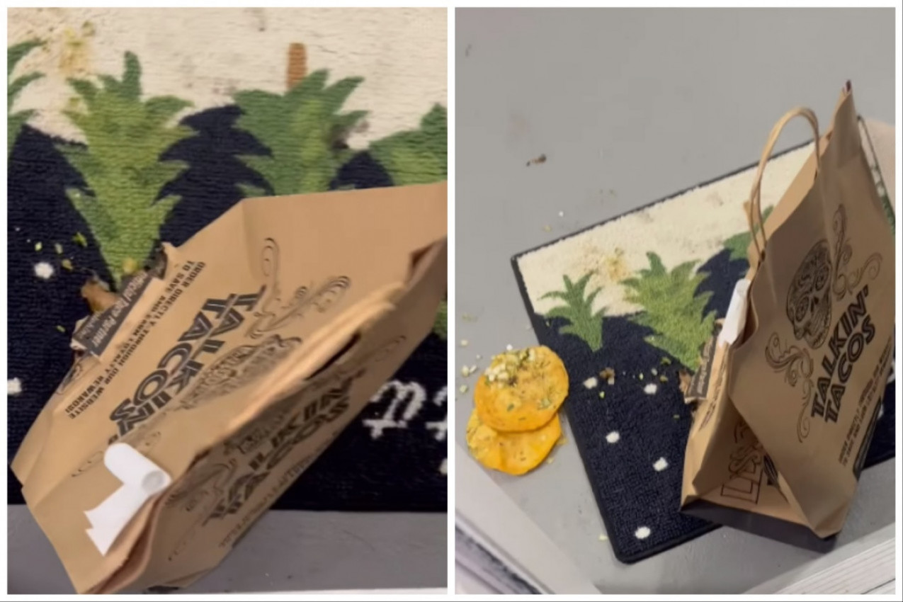 NARUČIO JE DOSTAVOM RUČAK NE SLUTEĆI ŠTA GA ČEKA: Kada je otvorio vrata zatekao je pocepanu kesu, a onda je spazio i lopova! (FOTO+VIDEO)