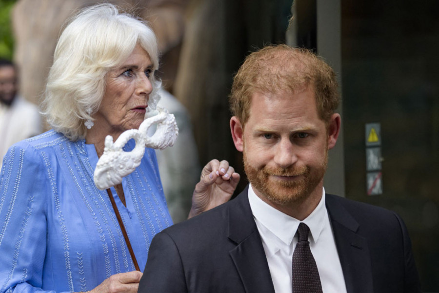 KAMILA BESNA KAO RIS NA PRINCA HARIJA, JEDNO NE MOŽE DA MU OPROSTI: Tračevi sa britanskog dvora sve glasniji, optužbe su nikad teže! (FOTO)