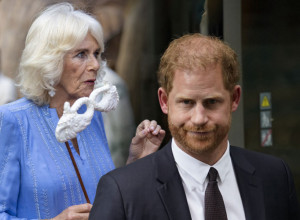 KAMILA BESNA KAO RIS NA PRINCA HARIJA, JEDNO NE MOŽE DA MU OPROSTI: Tračevi sa britanskog dvora sve glasniji, optužbe su nikad teže! (FOTO)