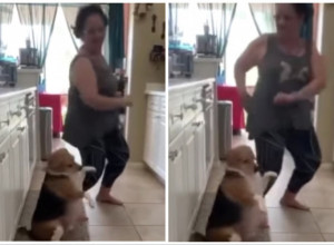 BAKA JE ZAPLESALA U KUHINJI, A ONDA JOJ SE PRIDRUŽIO PAS: Snimak koji ćete gledati u neverici (FOTO+VIDEO)
