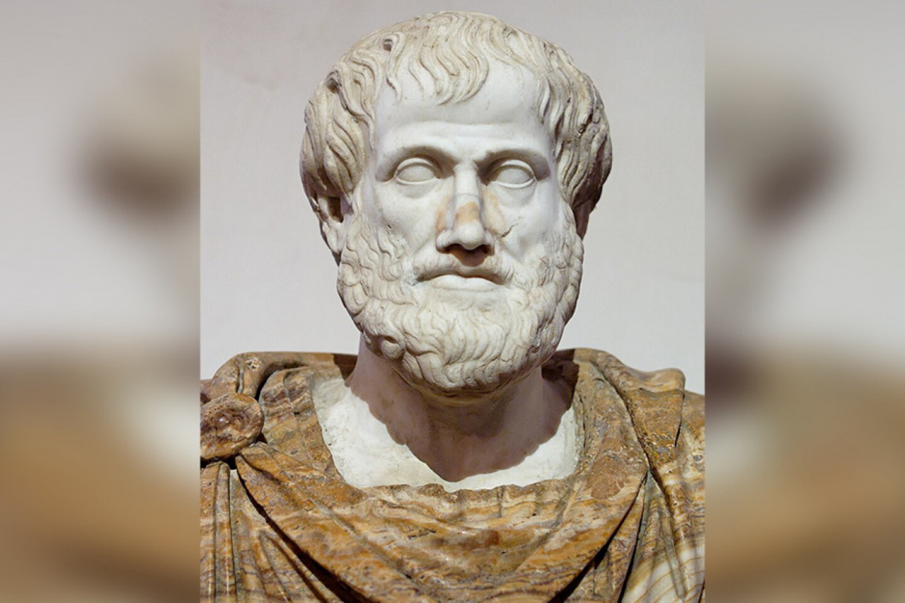 Želeti da nekome budete prijatelj je lako, ali prijateljstvo je voće koje sporo sazreva