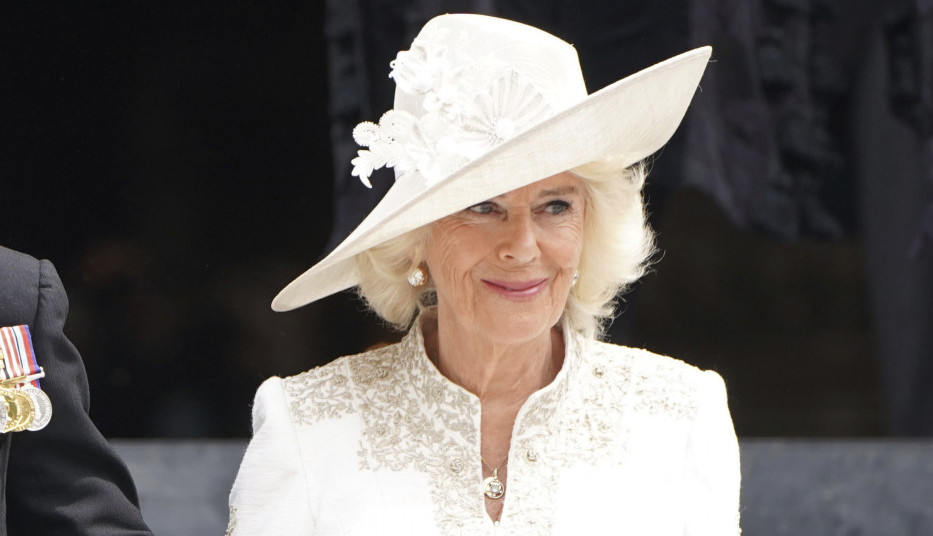 DOK ČARLS LEŽI BOLESTAN, KAMILA DONELA PRESUDNU ODLUKU: Ovome se niko nije nadao, sada je otkriveno kakva je zapravo!